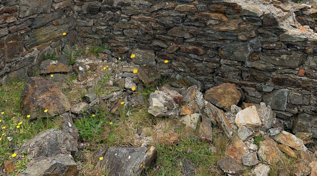 While waiting for the boating tour we climbed up to these ruins. Saw a man training his sheep and his sheep dog was chasing them all about the green hills