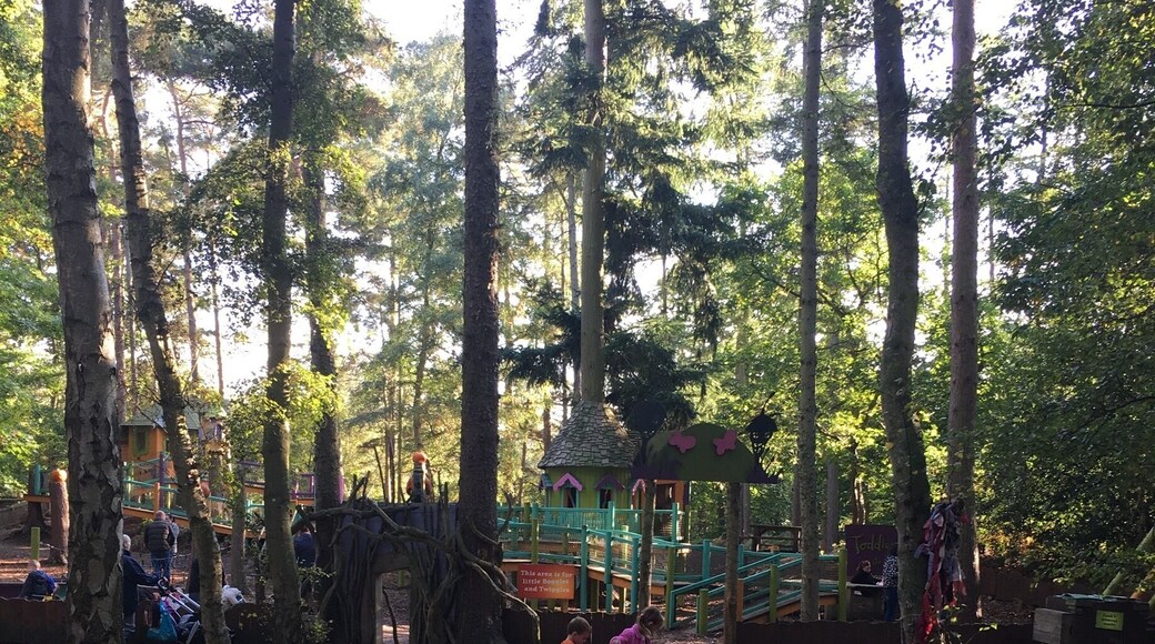 Olivia loves her day there