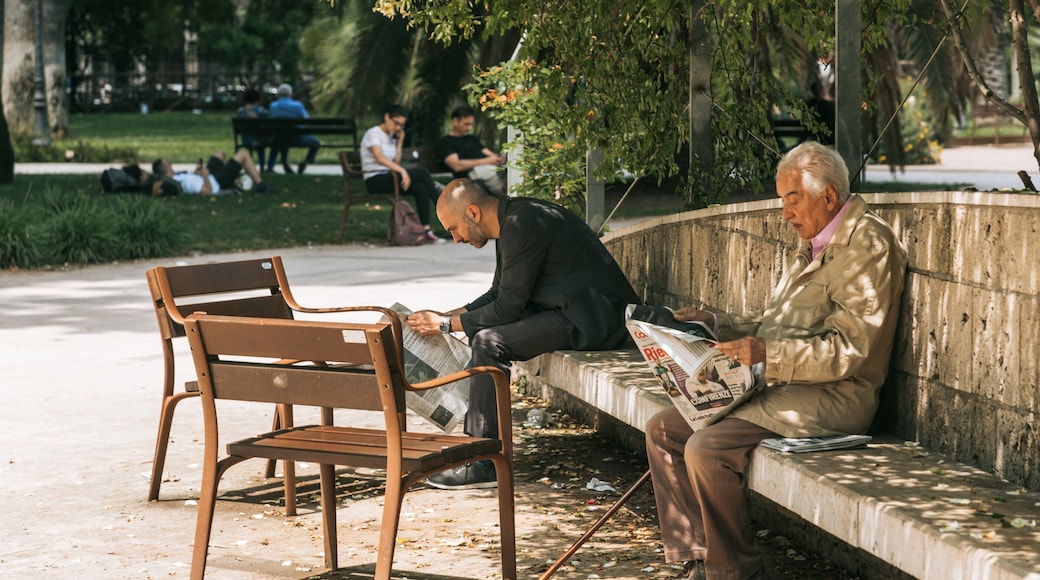 Esquilino featuring a garden as well as an individual male