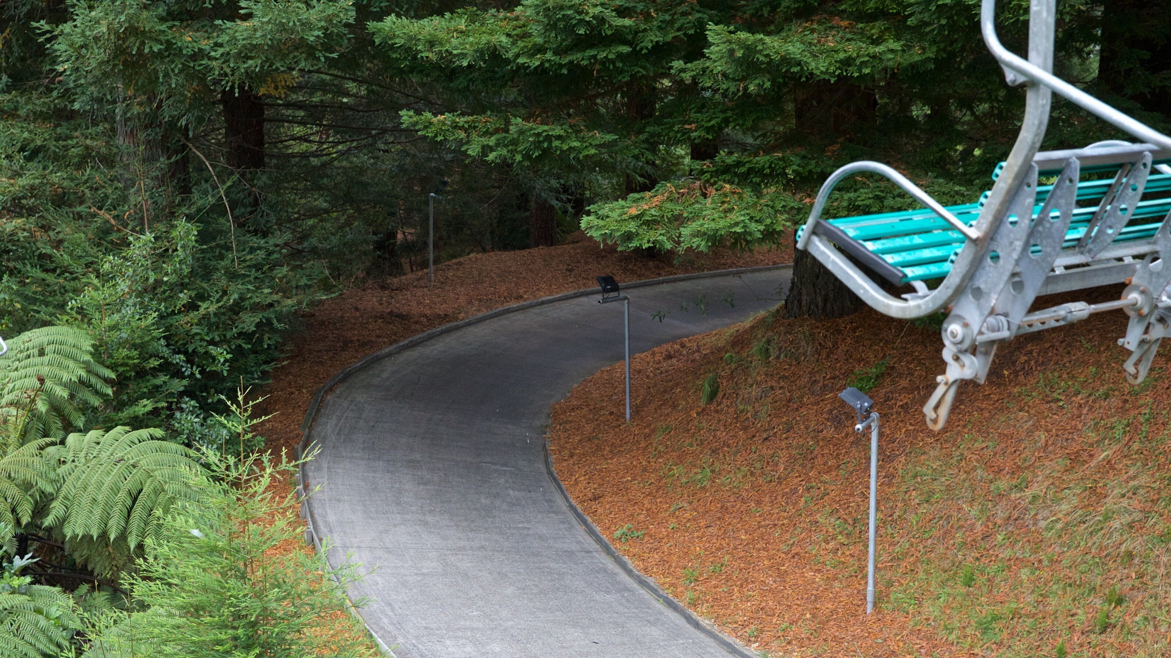 Skyline Rotorua showing a garden and a gondola