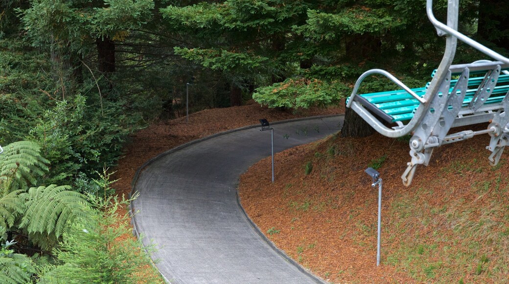 Skyline Rotorua showing a garden and a gondola