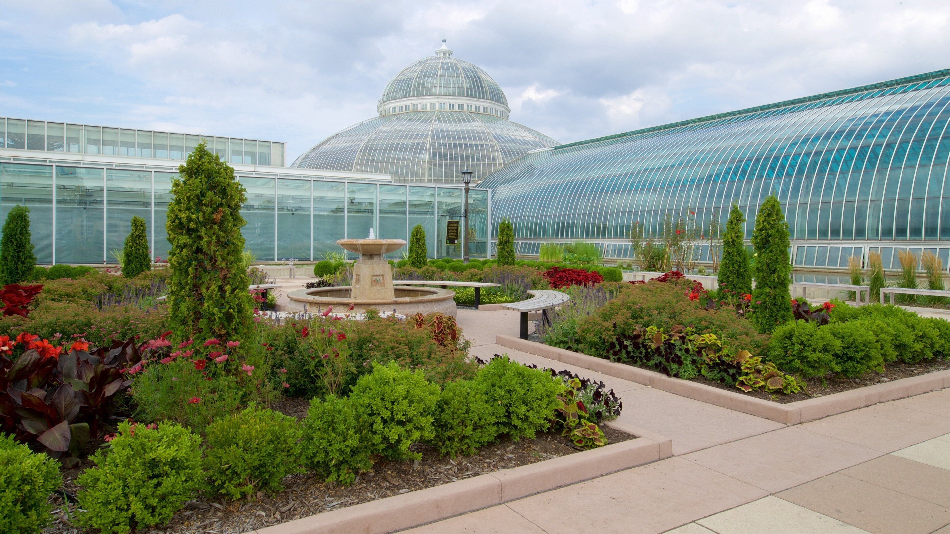 St. Paul featuring flowers, a fountain and a garden