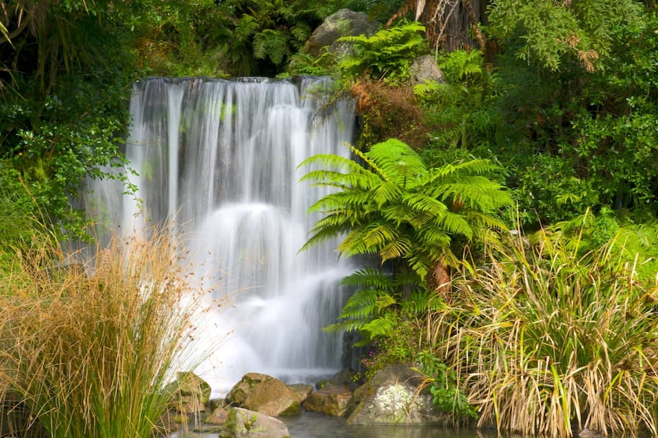 A waterfall surrounded by lush greenery and ferns.