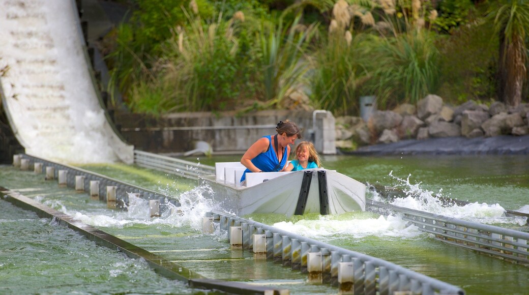 Rainbow Springs Kiwi Wildlife Park featuring rides as well as a family