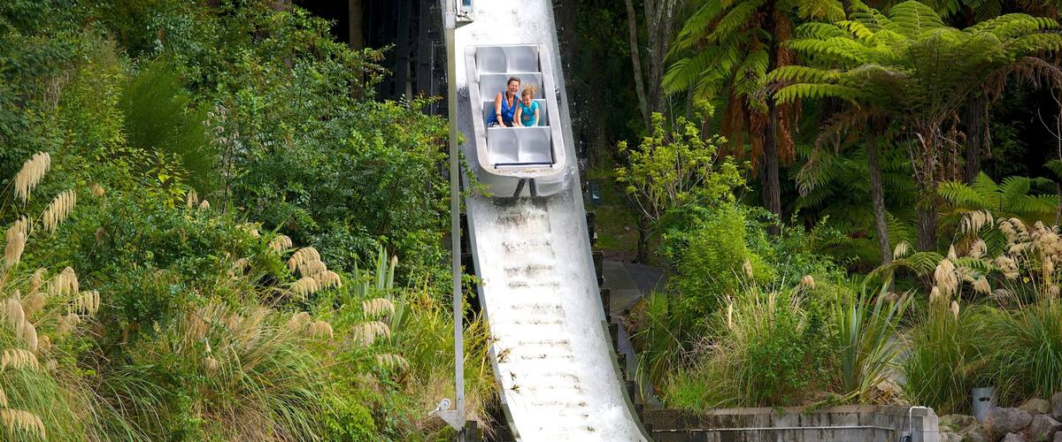Rainbow Springs Kiwi Wildlife Park showing rides