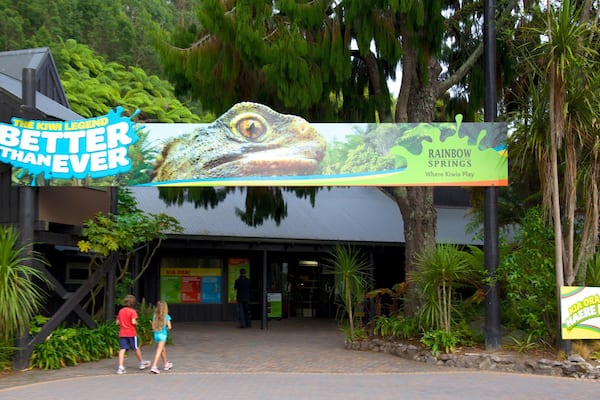 Schild für Rainbow Springs mit einer großen Frosch-Illustration und Text.
