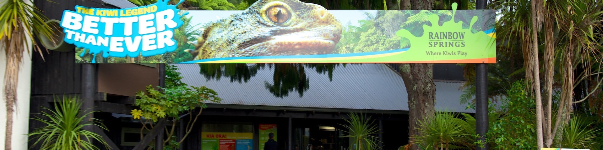 Rainbow Springs Kiwi Wildlife Park que inclui animais de zoológico