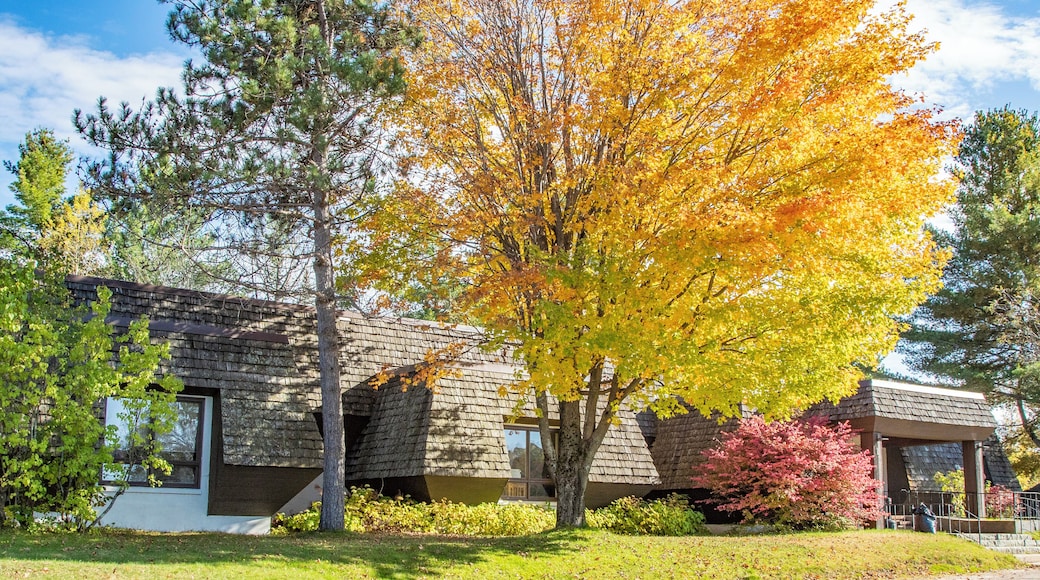 Lake Placid Center for the Arts