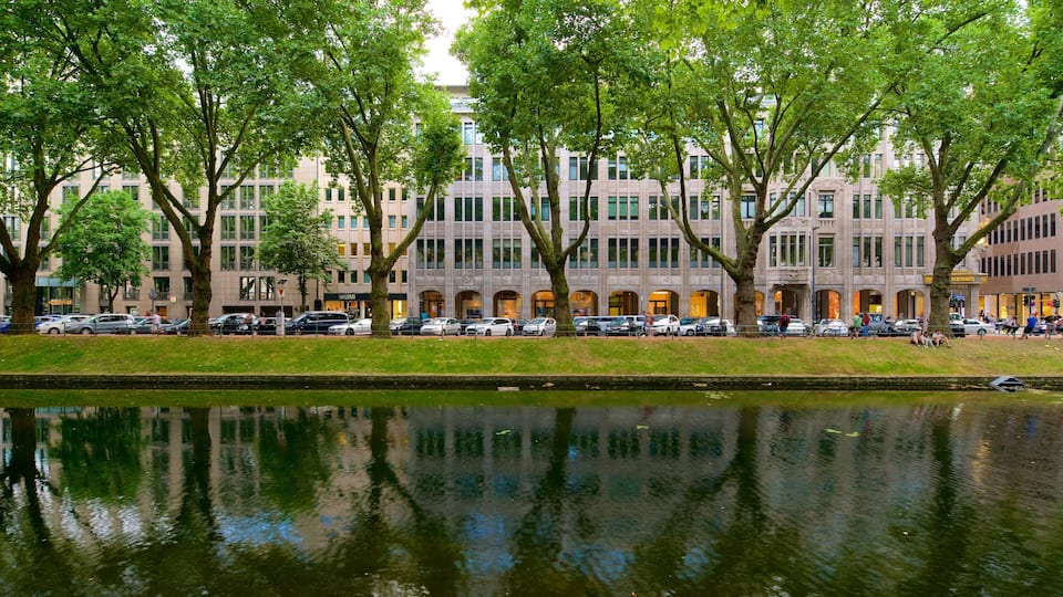 Un río que refleja árboles y edificios.