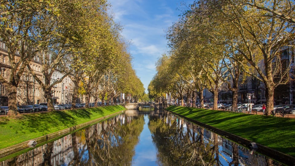 Düsseldorf which includes a river or creek