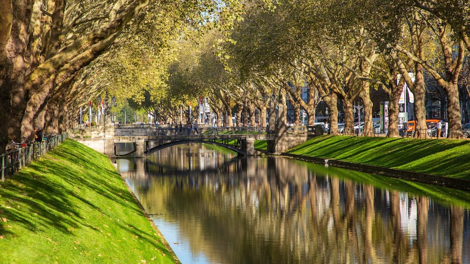 Düsseldorf which includes a river or creek