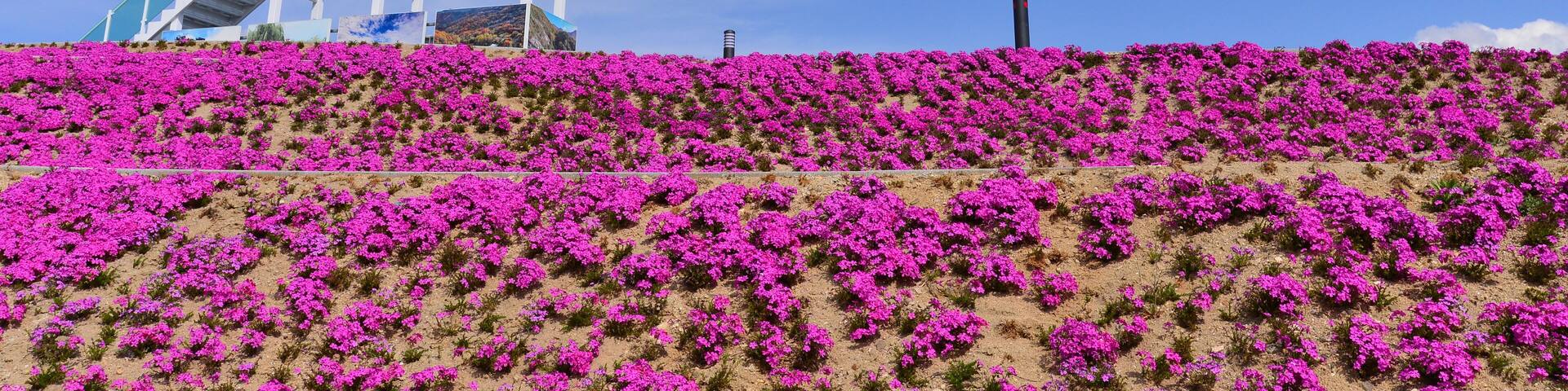 Observation deck of heart shape at the Geochang Meeting Square in Geochang-gun, Gyeongsangnam-do, South Korea.