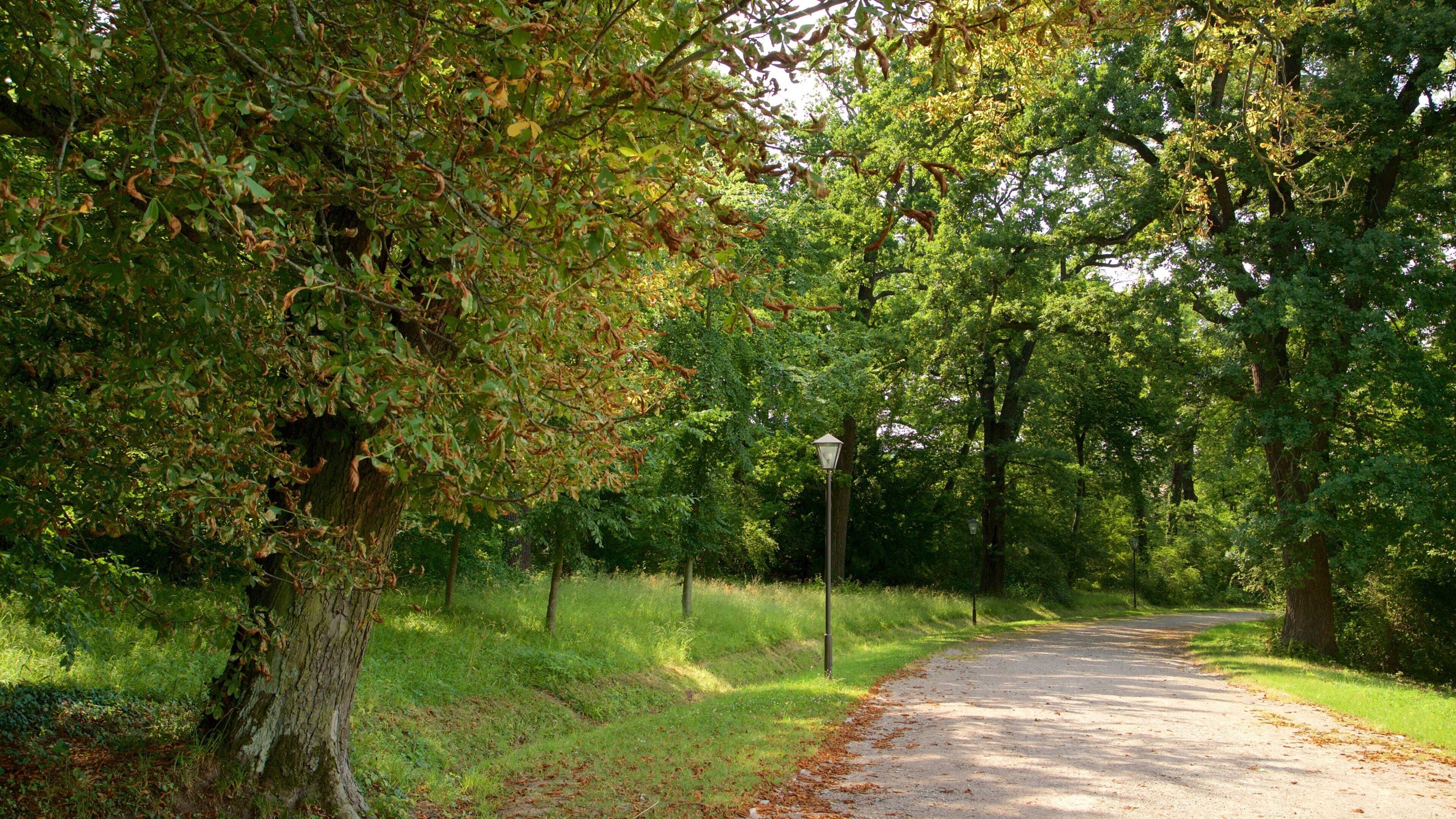 Belvedere slott som inkluderer park