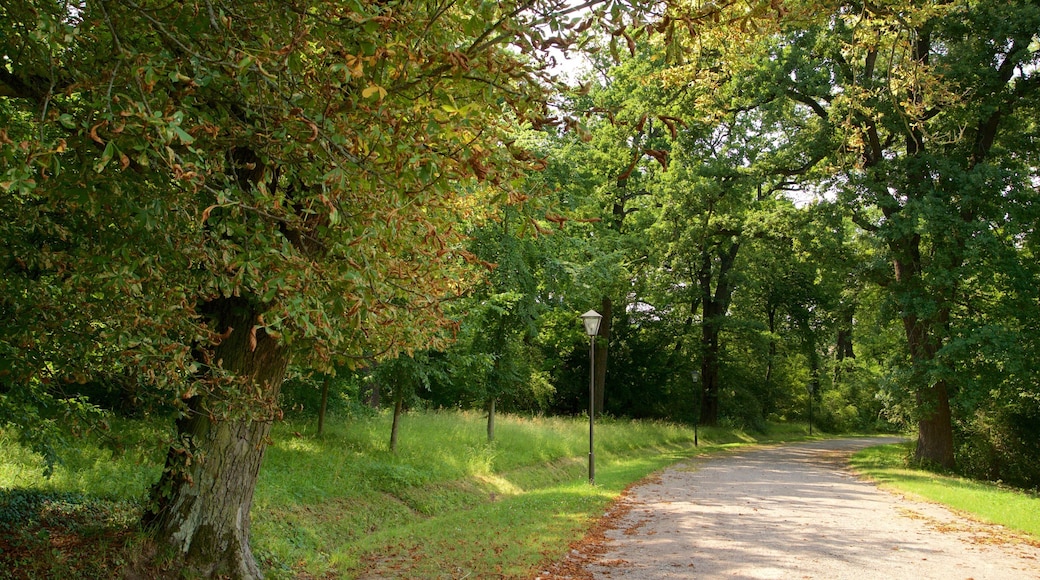 Belvedere slott som inkluderer park