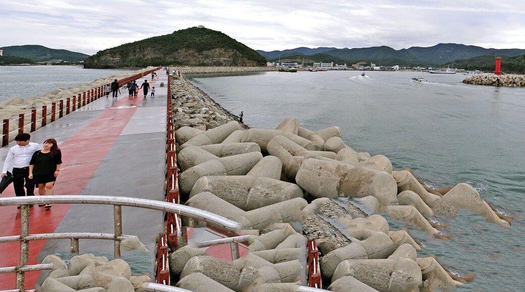 Gyeokpo Port/Harbor is a tourist destination and a first class port linking islands on the West Coast like Wido and Gogunsangundo. In the past Gyeokpo Harbor was a base for naval forces. A chief for the navy forces and government officials were assigned here during the Joseon Dynasty.