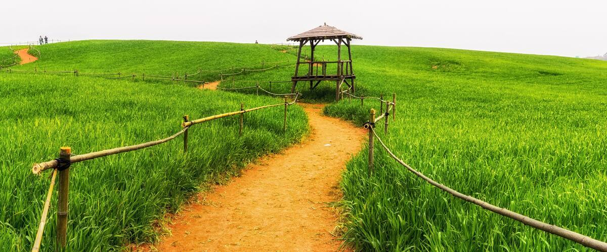 A dirt path leading to a wooden gazebo in a lush green field.