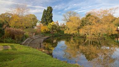 Bletchley Park which includes a pond