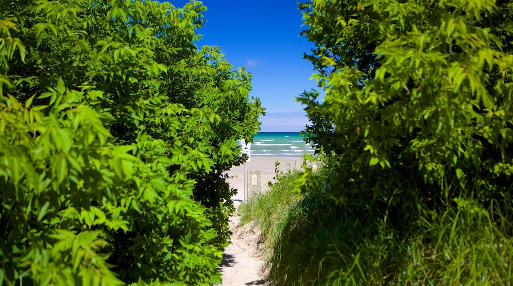 Wasaga Beach Provincial Park showing a beach