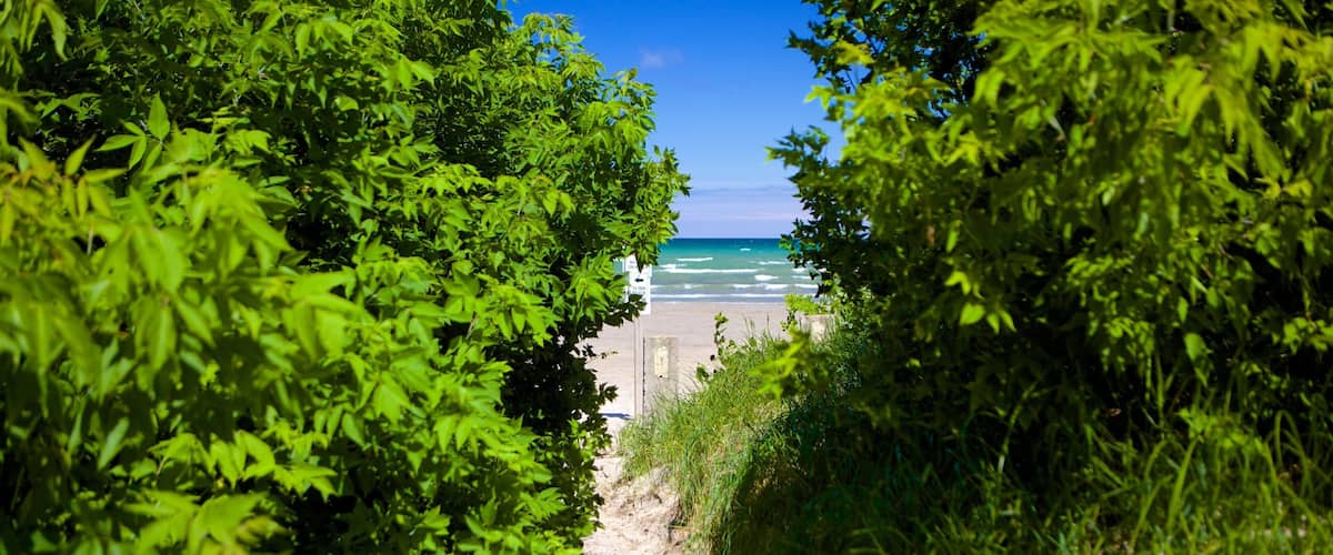 Parque Provincial de Playa Wasaga que incluye una playa de arena
