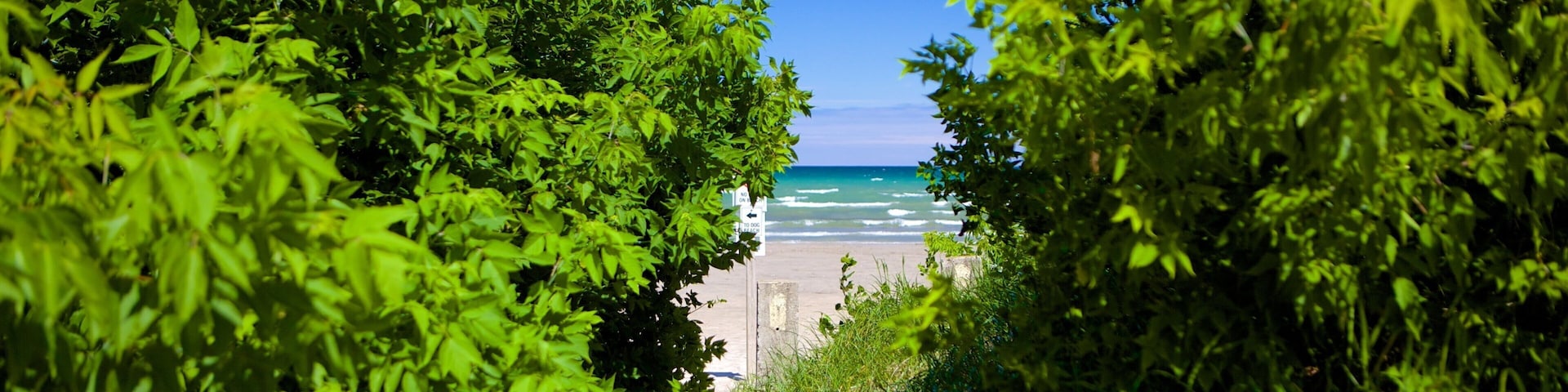 Wasaga Beach Provincial Park mostrando uma praia
