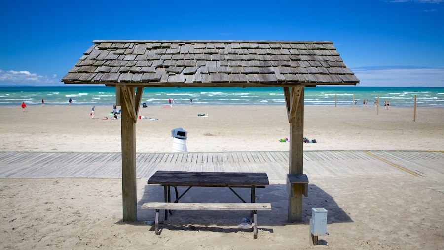 Wasaga Beach Provincial Park featuring a beach