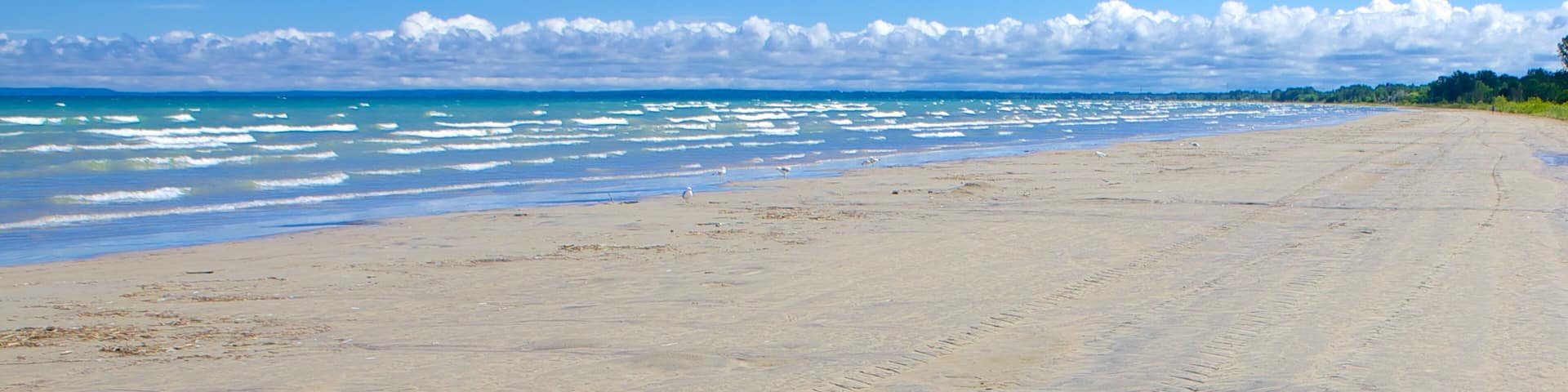 Wasaga Beach Provincial Park som visar en sandstrand