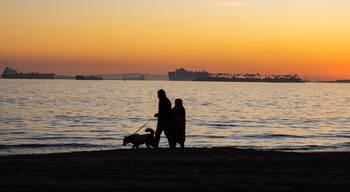 Belmont shore beach sunset view