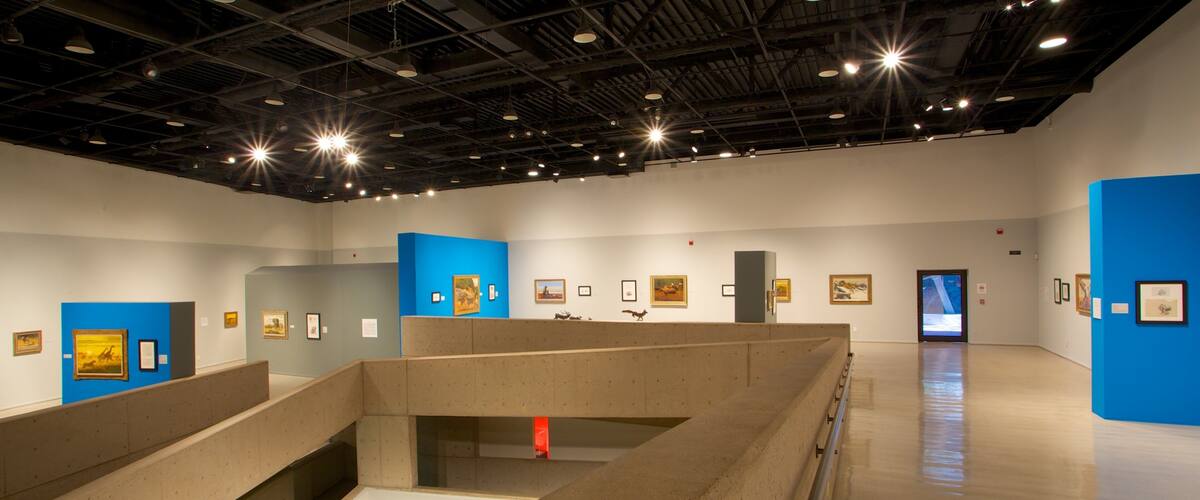 Tucson Museum of Art welches beinhaltet Innenansichten und Kunst