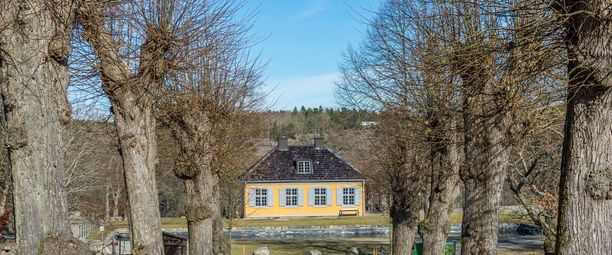A yellow house with a black roof, surrounded by trees and a gravel driveway.