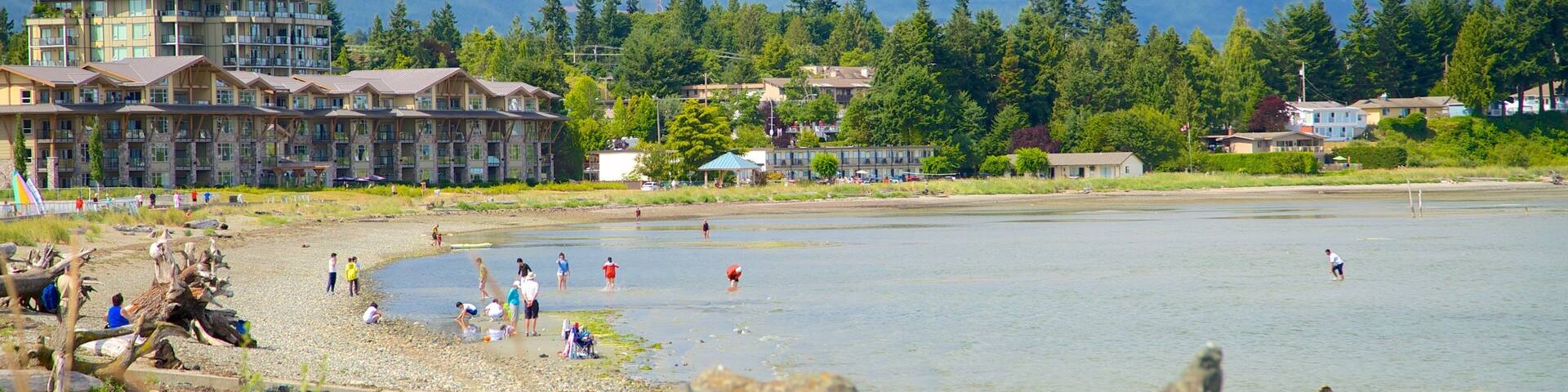 パークスビル ビーチ 表示 小石のビーチ と 荒々しい海岸線