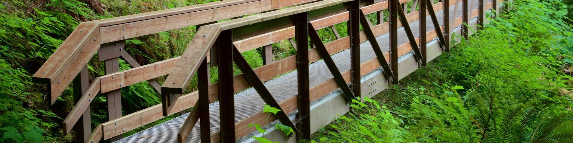 Horne Lake Caves Provincial Park welches beinhaltet BrĂŒcke und WĂ€lder