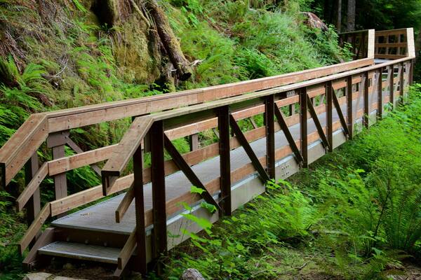ホーン レイク ケイブス州立公園 フィーチャー 橋 と 森林