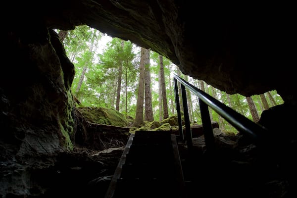 Horne Lake Caves Provincial Park som viser huleforskning og skovområder