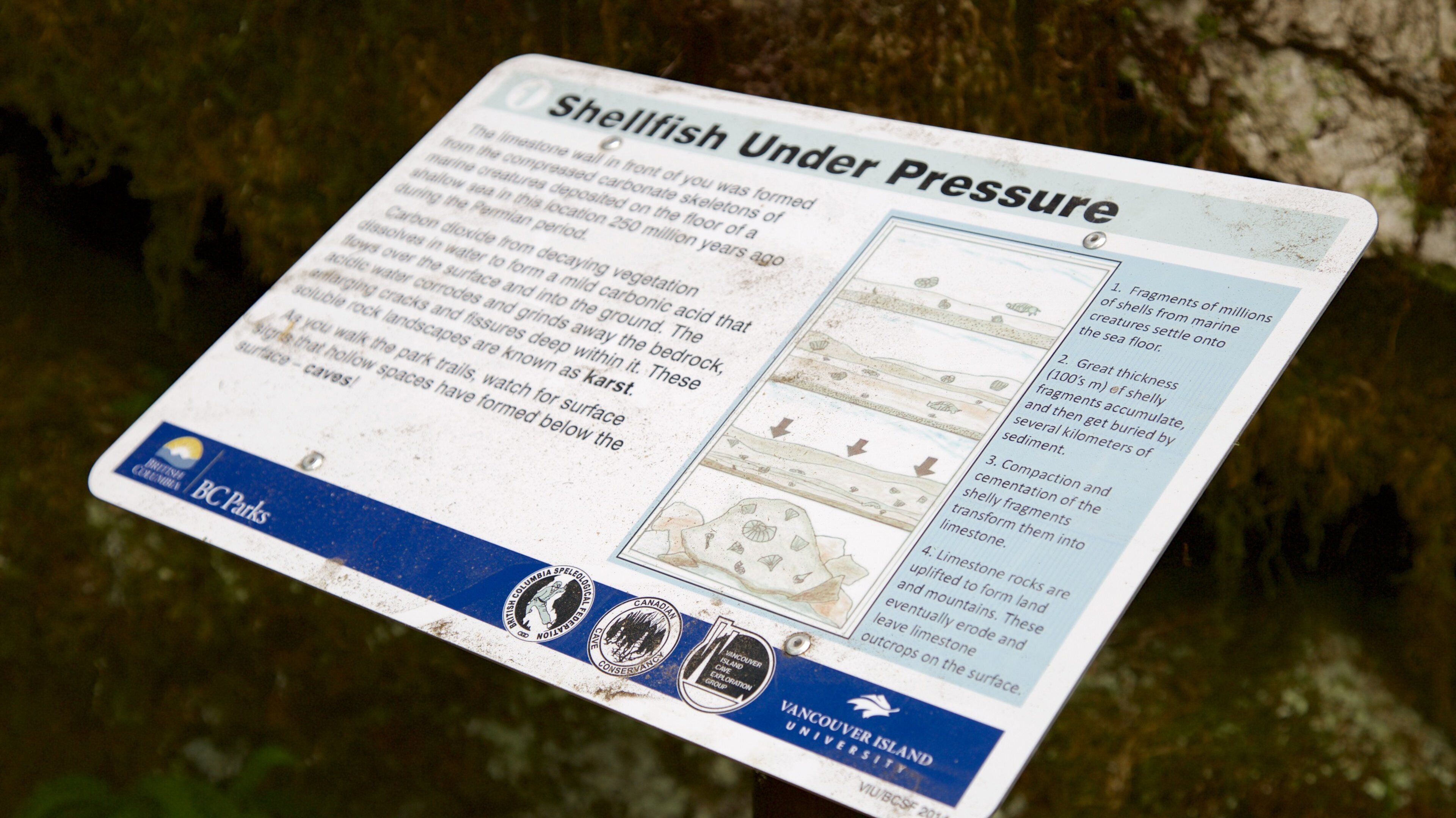 Horne Lake Caves Provincial Park som viser skiltning