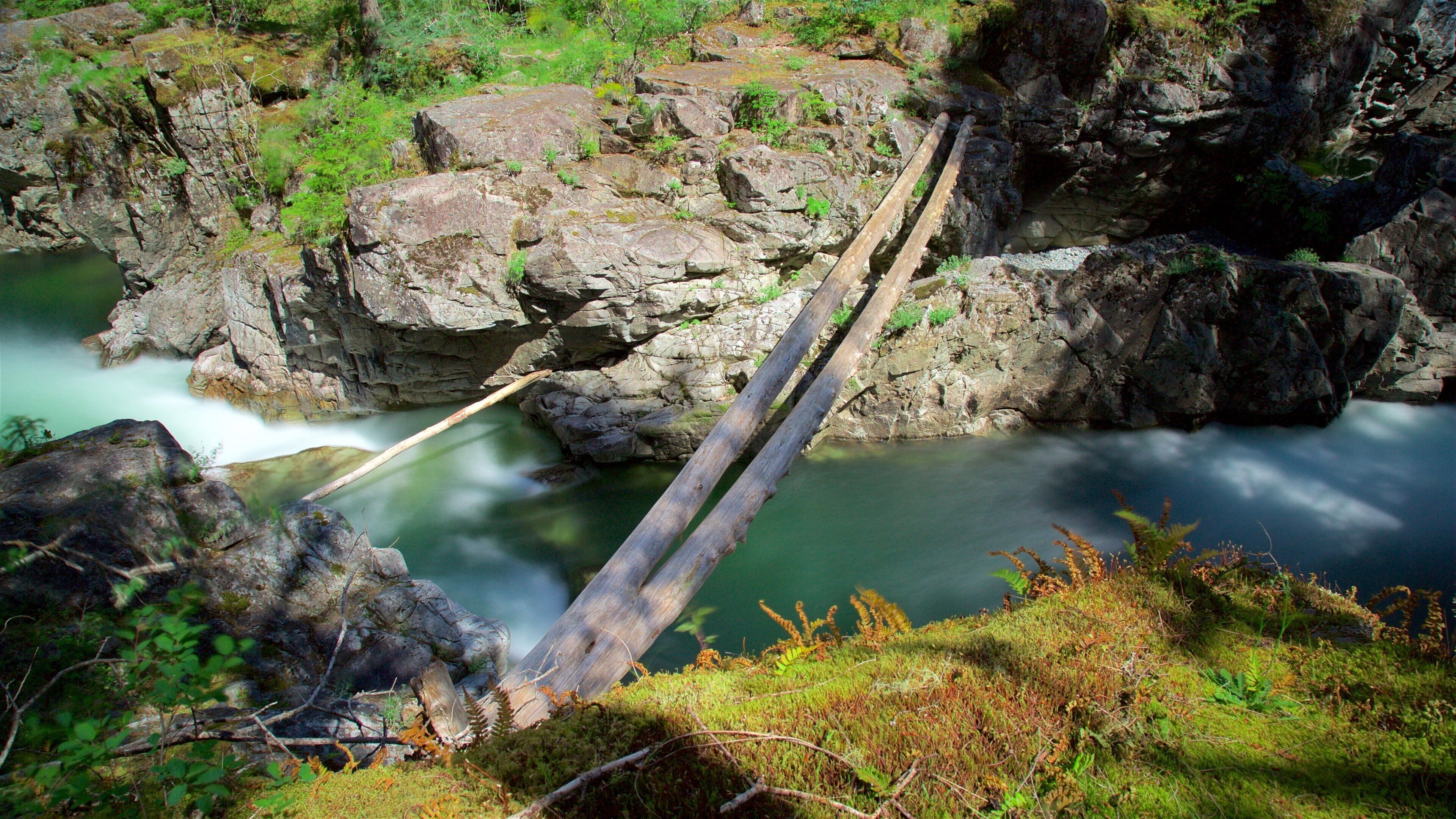 Parque Provincial de Little Qualicum Falls mostrando un río o arroyo