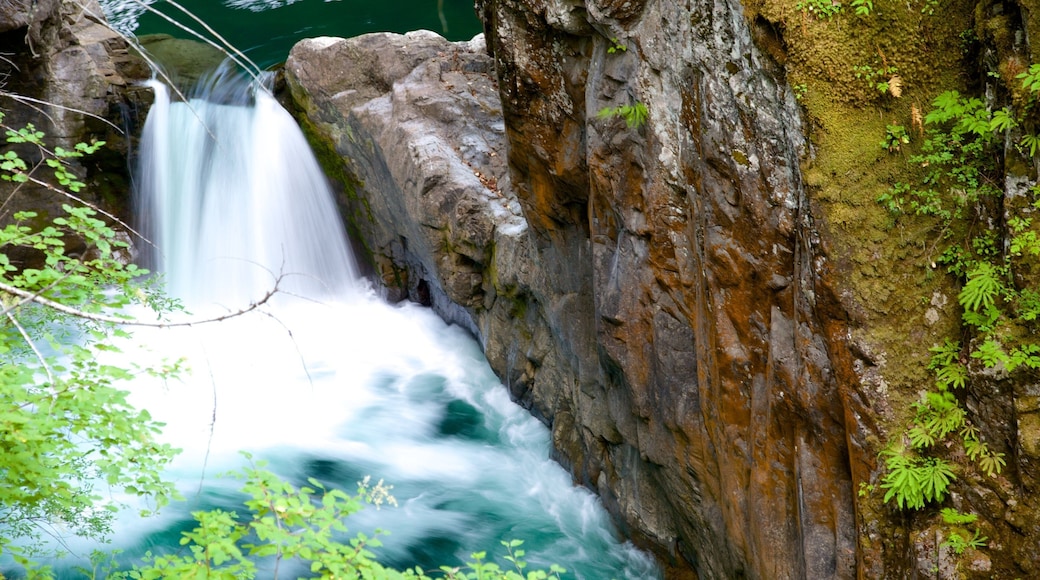 Công viên tỉnh Thác Little Qualicum có tính năng thác