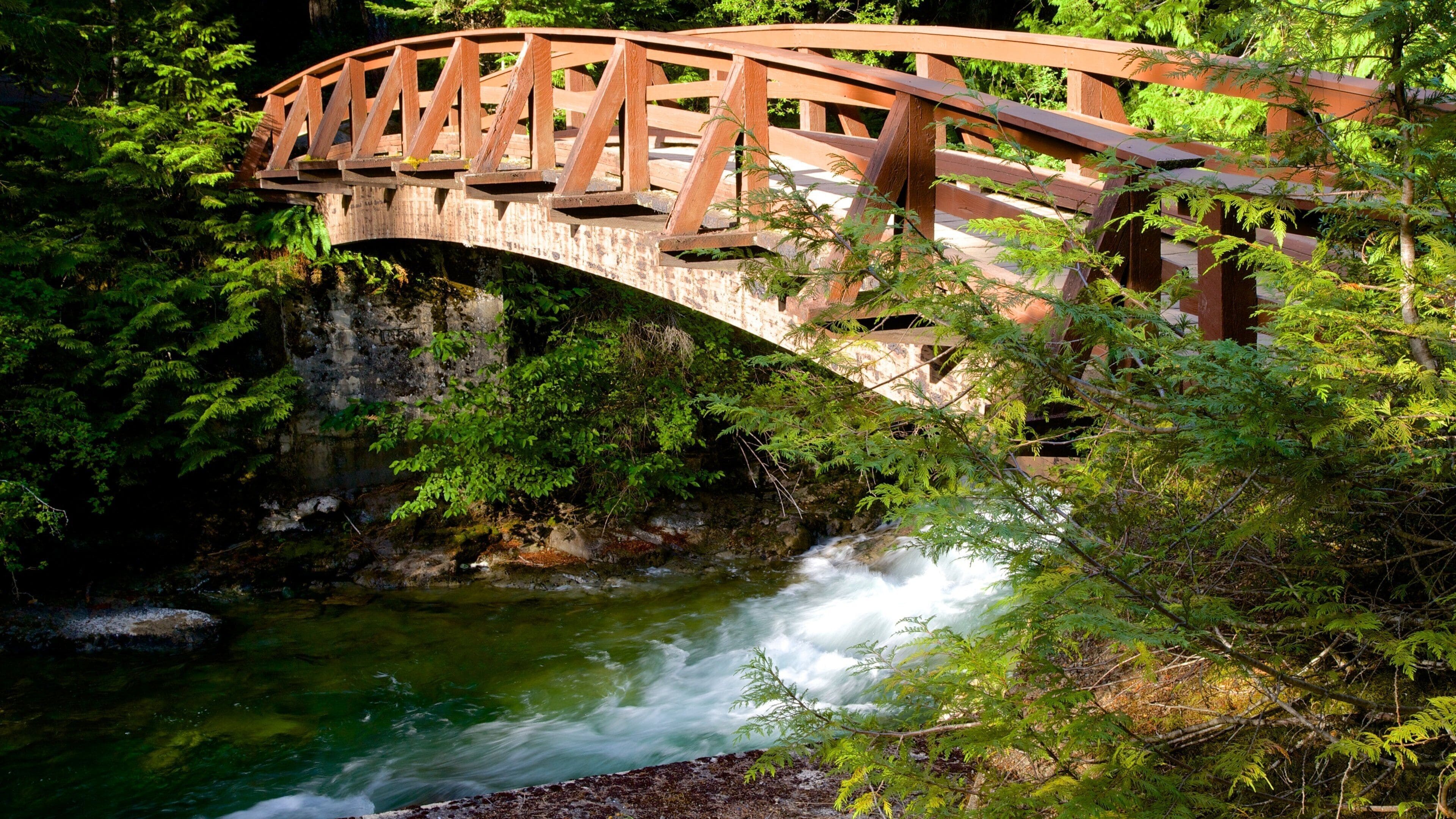 Little Qualicum Falls provinspark som viser bro og elv eller bekk