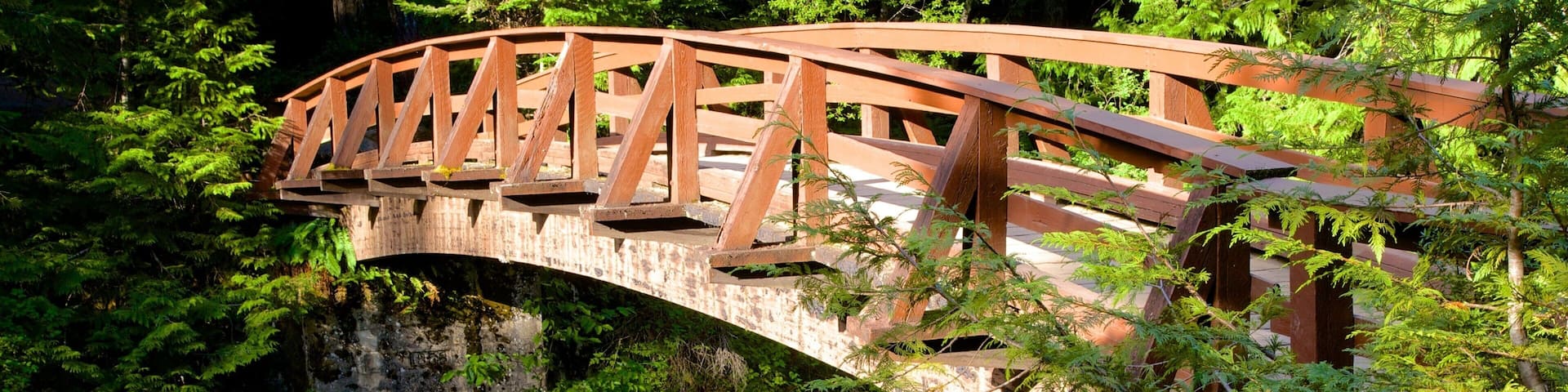Little Qualicum Falls Provincial Park featuring a bridge and a river or creek
