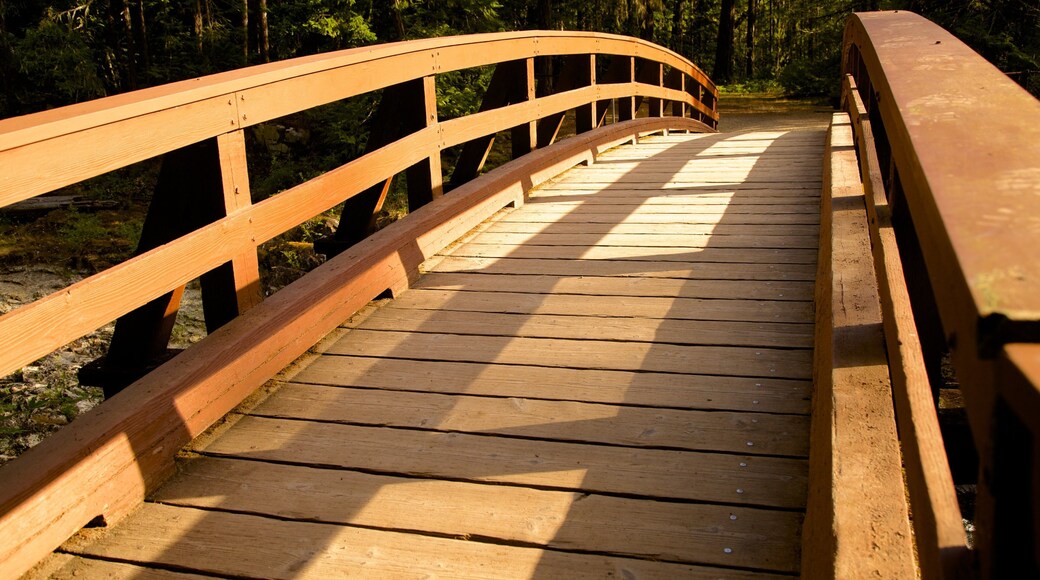 Little Qualicum Falls Provincial Park featuring a bridge