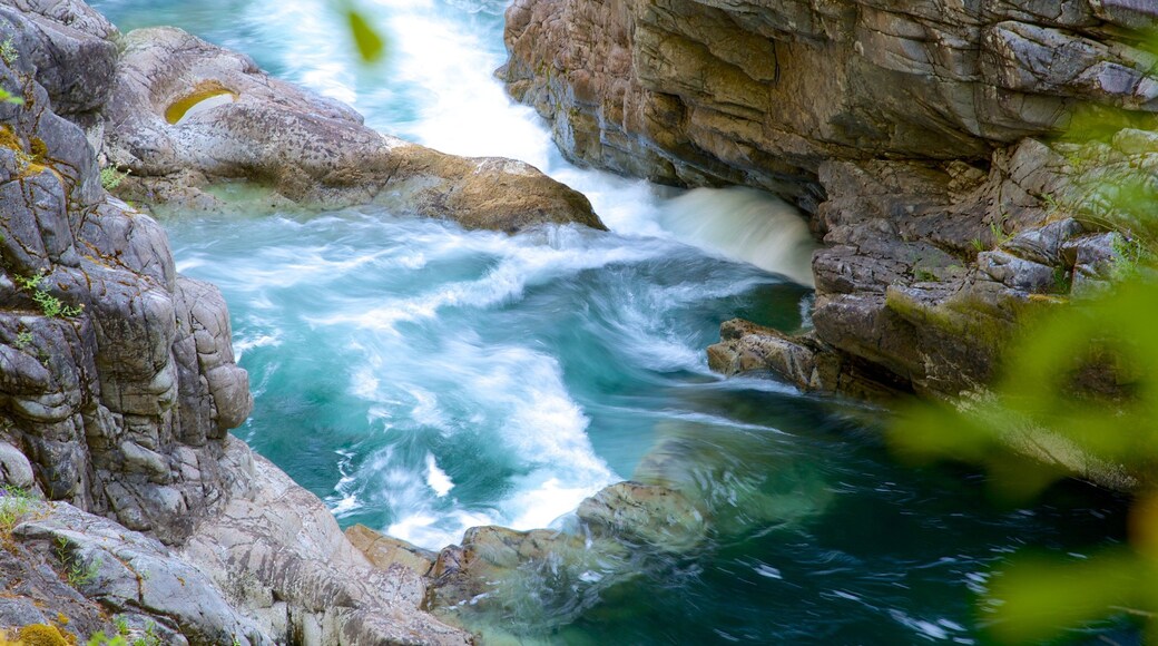 Công viên tỉnh Thác Little Qualicum có tính năng ghềnh