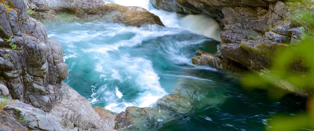 Parc provincial de Little Qualicum Falls qui includes rapides