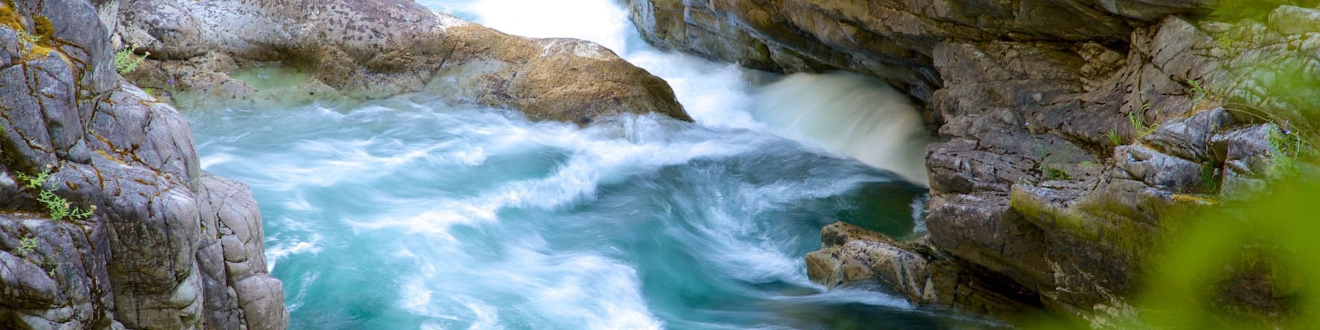 Parc provincial de Little Qualicum Falls mettant en vedette rapides