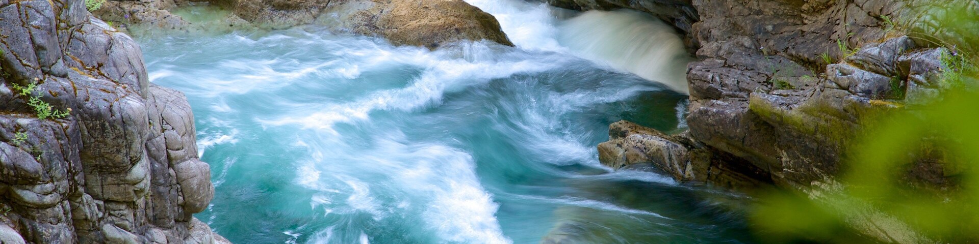 Parc provincial de Little Qualicum Falls mettant en vedette rapides