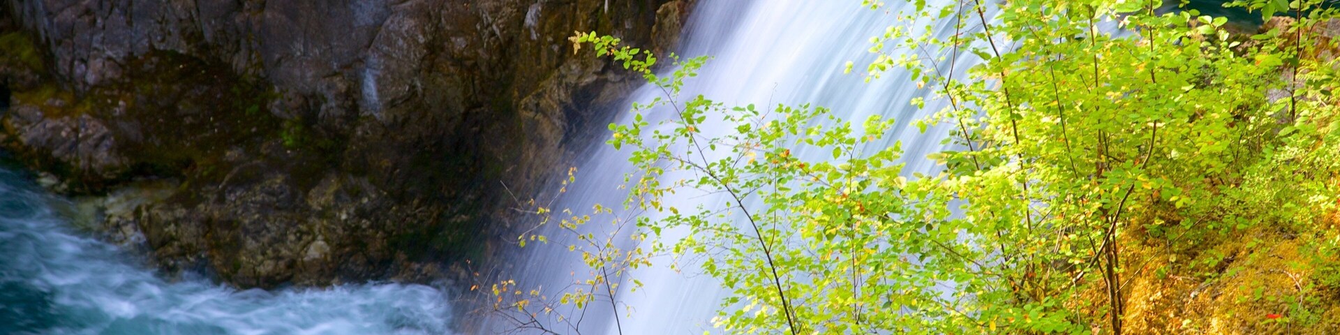 Little Qualicum Falls Provincial Park which includes a cascade