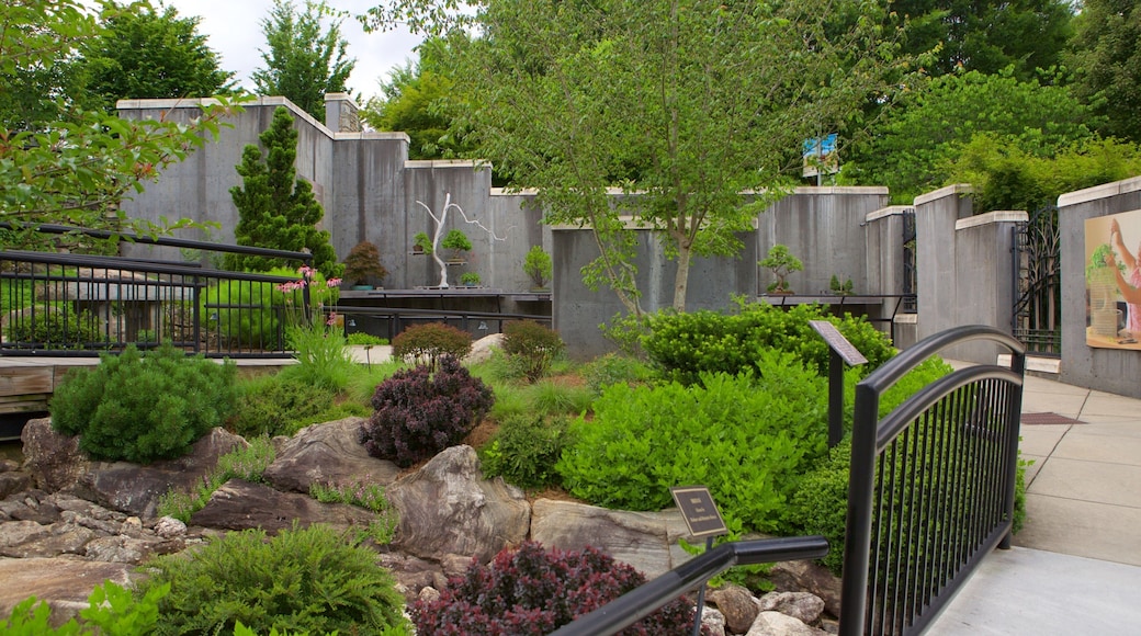 North Carolina Arboretum og byder på en park