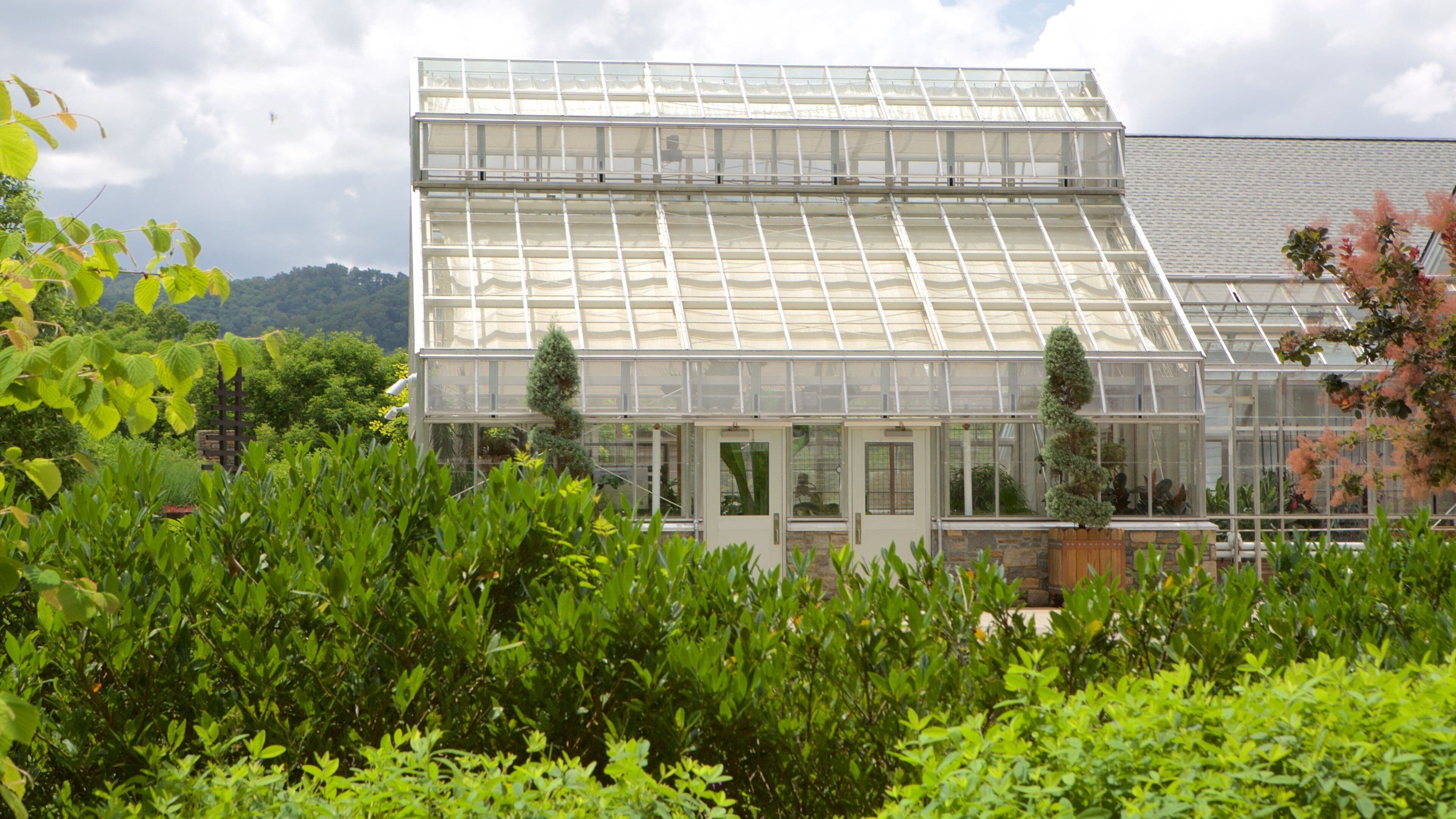 North Carolina Arboretum featuring a park