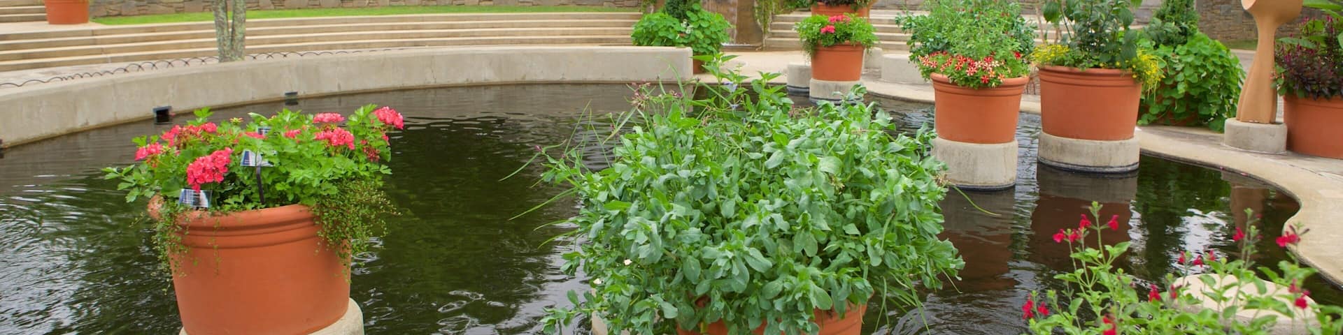 North Carolina Arboretum showing a park
