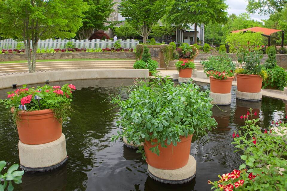 A serene garden with a central pond, surrounded by terraced planters with various flowers and plants.