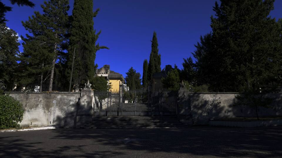 A gated entrance with steps leading to a building, surrounded by tall trees and a clear blue sky.