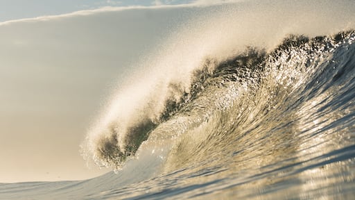 A large wave with spray and foam, indicating strong ocean currents.